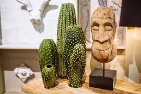 First of all, don't grab the spines. Cactus Easy To Handle Decoration For Wild Journeymen Kare Venezuela