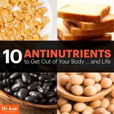 Biomarkers of dietary polyphenols in cancer studies: 10 Antinutrients To Get Out Of Your Diet Immediately Dr Axe