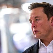 Elon Musk: More fertile than Mick Jagger and Nick Cannon?