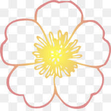 Floral pattern illustrations & vectors. Buttercup Png Buttercup Flower Powerpuff Girls Buttercup Buttercup And Butch Cleanpng Kisspng