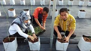 Jaguh sukan dan juga jutawan. Buruh Nelayan Dan Juga Petani Gaya Hidup Kini Dah Berubah Inilah Realitinya Carian Homestay Malaysia