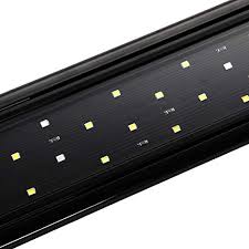 Aquaneat Led Aquarium Light Color Adjustable 12 20 24 Fish Import It All
