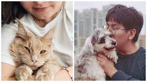 Affordable veterinary services of va is locally owned and operated. Local Affordable Vets Online