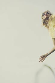 Red akan menjadi album keduanya yang mendapat taylor's version atau versi taylor. Red Album Art Taylor Swift Taylor Swift Photoshoot Taylor Swift Latest Taylor Swift