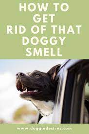 You May Be Wondering How To Get Rid Of That Doggy Smell All Dogs Have A Little Bit Of An Odor Sometimes And This Post Let Doggy Dog Training Training Your