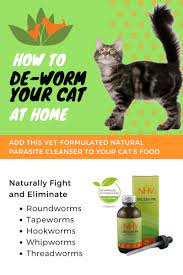 This treatment features a combination of herbal ingredients that have been shown to offer antifungal this excel roundworm liquid dewormer is safe for cats and kittens over 6 weeks of age and it is. Inulin Pk For Cats Cat Dewormer Cats Cat Care Tips
