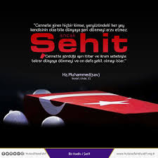 Sehitlerimize Rahmet Olsun Peygamber Efendimiz Sav Sehitlerimiz Hakkinda Su Sekilde Buyurmustur Cennete Giren Hicbir Arzu Durum Sozleri Cennet