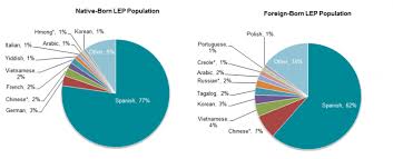 The Limited English Proficient Population In The United