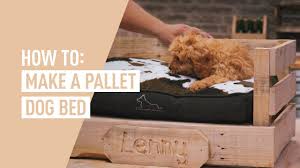 Maybe you would like to learn more about one of these? Diy Pallet Dog Bed Ozito Youtube