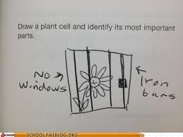 Maybe you would like to learn more about one of these? Plant Cell Confessions Of A Biochemian