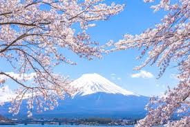 Mt Fuji Travel Japan Asia Lonely Planet