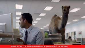 Ronny, how happy are folks who save hundreds of dollars switching to geico? Geico Hump Day Commercial With A Camel Trends As People Go Through Wednesday