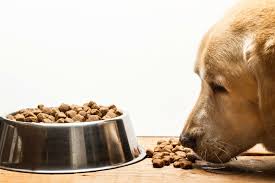 Also the blue buffalo foods are more basic and bland, without so many fillers or additives which affect many allergy prone dogs. Blue Buffalo Freedom Grain Dry Dog Food Review