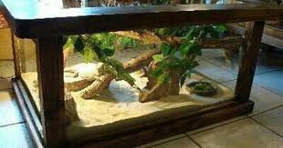 Coffee Table Terrarium Coffee Table Terrarium Bearded Dragon Bearded Dragon Terrarium