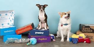 Welcome to subscription boxes canada! The Best Pet Subscription Boxes For 2021 Reviews By Wirecutter