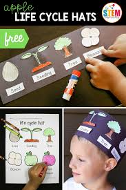 These coloring pages cover five different stages of the life cycle of a frog from when it is an egg all the way to an adult. Apple Life Cycle Hat The Stem Laboratory