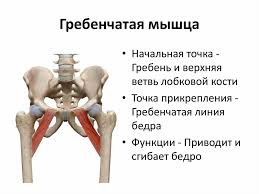 Boli V Oblasti Paha I Bedre Uprazhneniya Kotorye Pomogut Borotsya S Nimi Fitnes Na Kazhdyj Den Yandeks Dzen