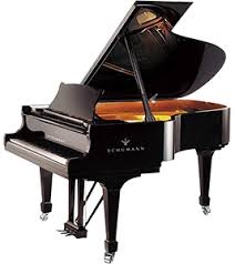 Image result for Pentas schumanniana