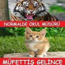 kahkahacumhuriyeti komikresimler vine caps komik komikvideo komikvideolar komikfoto komikfotograflar fikra fik komik en komik alintilar komik seyler