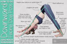 Mountain pose helps improve your posture, relieve sciatica pain, and tones your core and leg muscles. Beginner Yoga Poses Archives Yoga By Karina