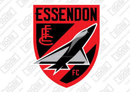 Bombers respond after fans baffled by sudden logo change to 'ebfc'. Pin On Essendon 3