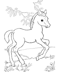 Maybe you would like to learn more about one of these? Image Detail For Coloring Pages Printable Horses And Foal Coloring Page And Kids Animal Coloring Pages Farm Animal Coloring Pages Horse Coloring Pages