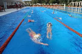 President of romanian swimming and modern pentathlon federation # olympic champion in athens 2004 # vicepresident of romanian olympic committee. Camelia Potec In CÄƒutarea Viitorilor Campioni