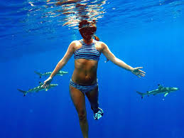 I Swam With Sharks Without a Cage — Here's What I Learned - Business Insider