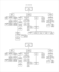 sample organizational chart 52 examples in pdf ppt word