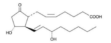 La stimulation de la synthèse intrarénale de prostaglandines e2 (pge2) vasodilatatrices sous l'effet de l'hyperpression intracavitaire qui représente le mécanisme physiopathologique essentiel. Pge2 Cas 363 24 6 Scbt Santa Cruz Biotechnology