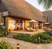 ONETHATCH REED | Synthetic Thatch Roofing Material