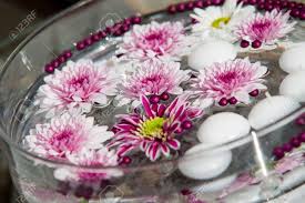 We did not find results for: Floating Candles And Flowers Decoration For A Garden Party Stock Photo Picture And Royalty Free Image Image 13655706