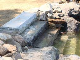 Steps Into Lake Mfl Lake Landscaping Landscape Outdoor