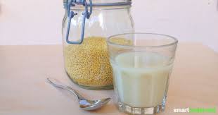 Hirsemilch Selber Machen Regionaler Pflanzendrink Fur Mehr Vielfalt Basisch Essen Rezepte Veganer Joghurt