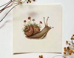 Garden Snail Art Print Wildlife Illustration Nature Poster Etsy In 2021 Nature Posters Snail Art Fall Clip Art