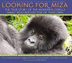 Looking For Miza: The True Story of the Mountain Gorilla Family Who Rescued  on of Their Own: Hatkoff, Juliana, Hatkoff, Isabella, Hatkoff, Craig,  Kahumbu, Dr. Paula: 9780545085403: Amazon.com: Books