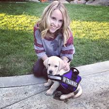 How to train a seizure alert dog. My Twin Sister Just Got Her New Seizure Alert Dog In Training Reddit Meet Hamilton Hammie Aww