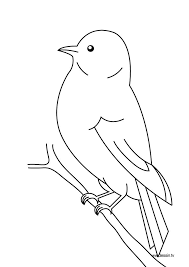 Les coloriages seront une occasion de partir à la découverte des oiseaux du monde entier. Coloriage Oiseau Oiseau Coloriage Coloriage Oiseaux A Colorier
