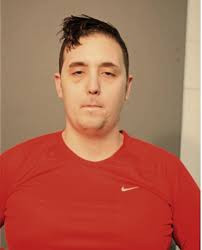 ᐅ Illinois Criminal Records 2009-2026