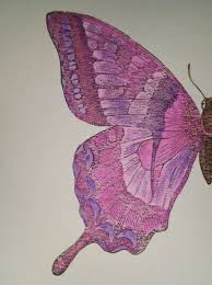 Schmetterling Stempel Von Stampin Up Mit Den Aquarell Faber Castel Gelatos Stifte Bemahlt Das Gibt Ne Tolle Karte Aquarell Schmetterling Faber