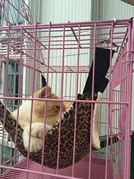 Quick view add to cart. Pet Supplies Pet Furniture Rat Accessory Rat Hammock Ferret Hammock Llamas Three Tier Hammock Pet Hammock Sugar Glider Hammock Small Animal Hammock
