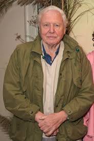 I often get letters, quite frequently, from people who say how they like the programmes a lot, but i never give credit to the almighty power that created nature. Sir David Attenborough Calls For Us To Act Now To Save The Planet