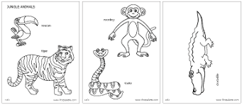 Jungle Rainforest Animals Printable Templates Coloring Pages Rainforest Animals Preschool Zoo Theme Spirited Art