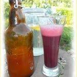 Kefir De Fruits Le Regime Hypotoxique Sans Gluten Et Produits Laitiers Recette Kefir Kefir De Fruit Kefir Recette