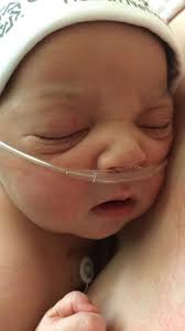 Community Hospital North