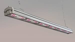 Maybe you would like to learn more about one of these? Buy Professional Led Grow Lights Valoya B100 Ap673 Led Grow Bar 120cm 4ft From Exhibition Seeds