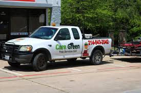 It was established in 2000 and incorporated in louisiana. 8 Things To Consider Before Hiring A Dallas Landscaping Company