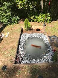 Check spelling or type a new query. Turtle Pond Ponds
