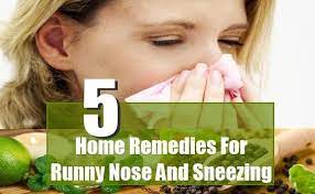 Pin On Remedies Sick