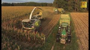 Die maisernte in der landwirtschaftlichen produktion findet von september bis november statt. Maisernte 2018 Maisprofis Hackseln U Silieren Energiemais Fur Biogas Plant Biggest Corn Harvest Youtube
